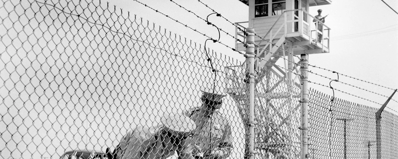 Fences of War: WWII, Lived Landscapes, and the Long Afterlives of the Home Front
